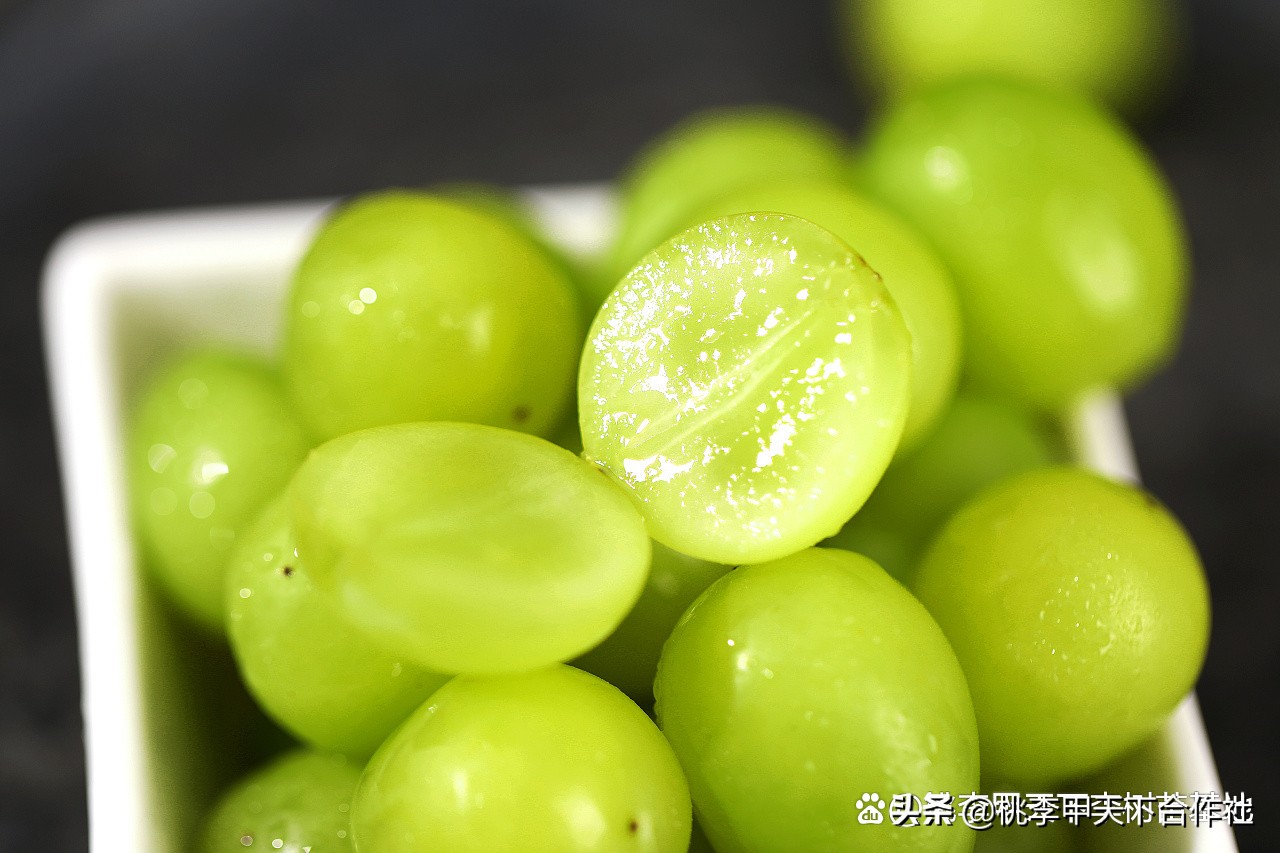 桃李甲天下果苗基地,桃李树全年病虫害防治用药