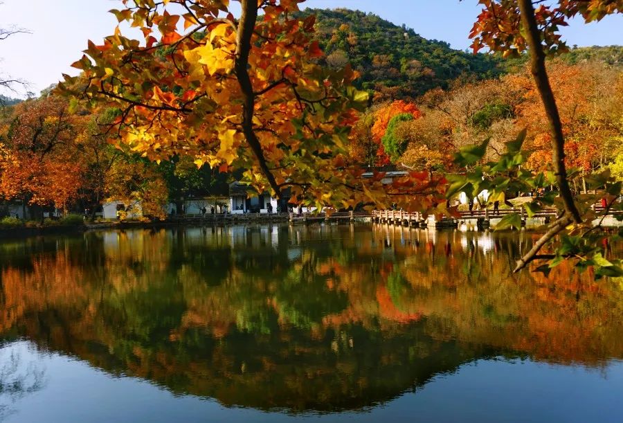 苏州哪里赏枫叶最好看,去苏州看枫叶的景点