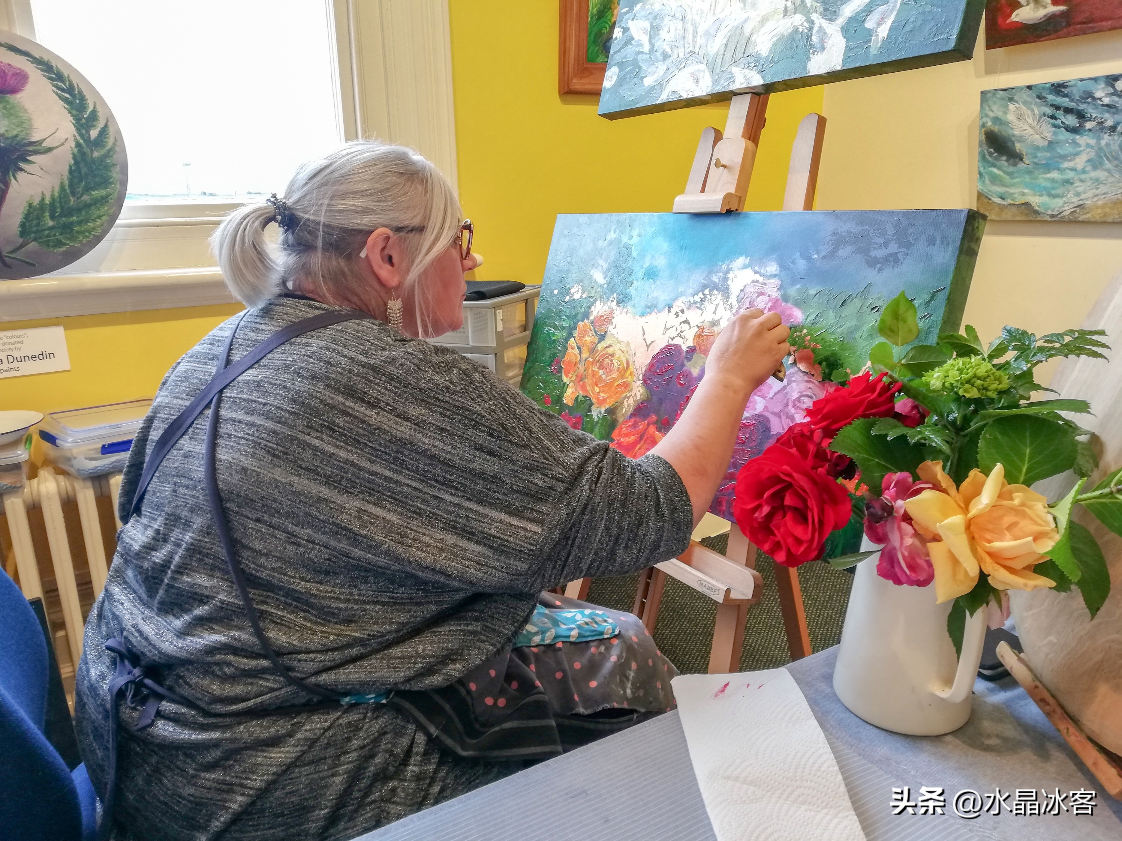 南岛新西兰之旅,新西兰之南岛