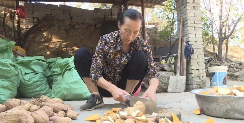 独守荒山17载，倔强姐与土鸡为伴