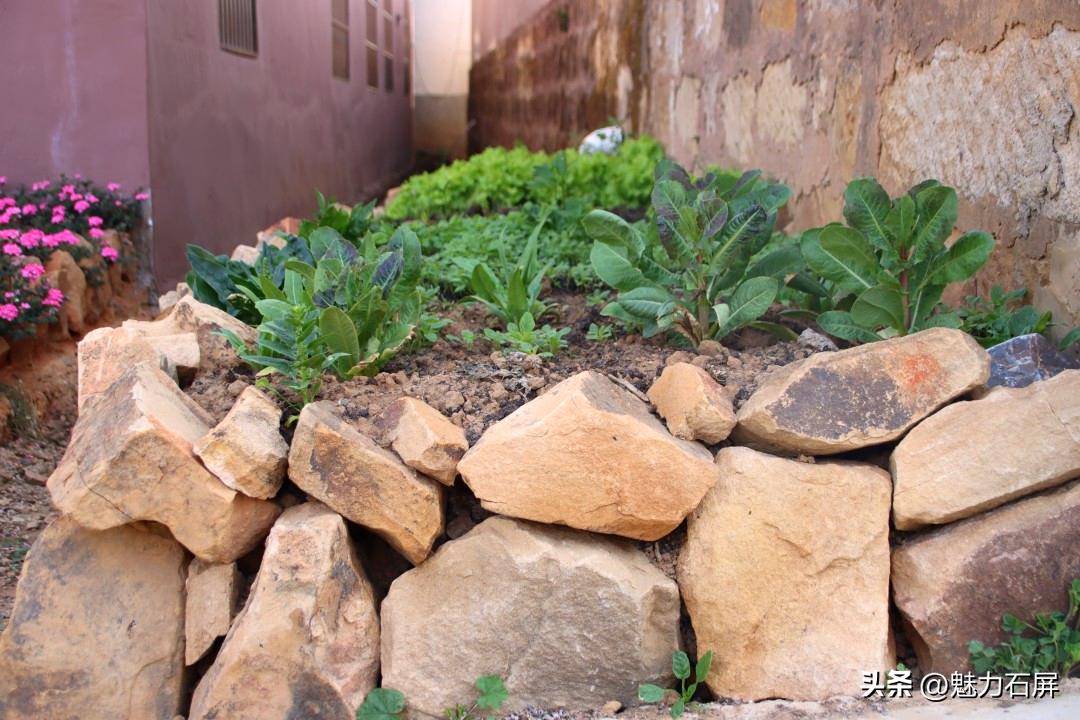 石屏哨冲拖黑村,哨冲镇拖龙黑村图片
