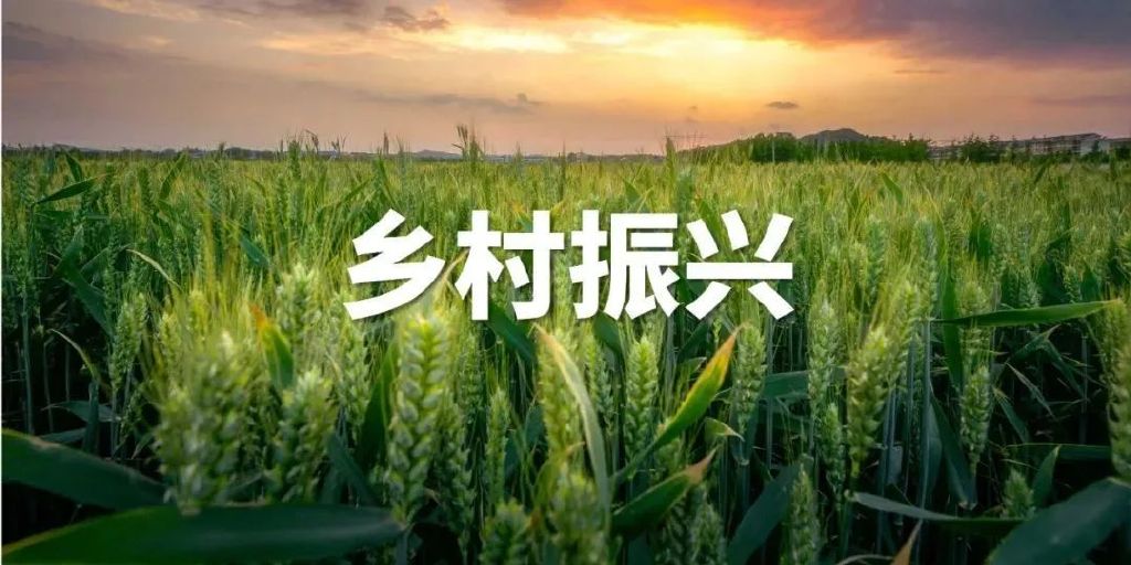 未来5年生鲜新模式有什么影响,中国生鲜农产品未来在哪里