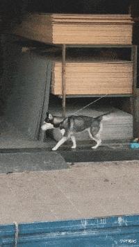 当代网友骂人斯文到什么程度,现代网友骂人能斯文到什么程度