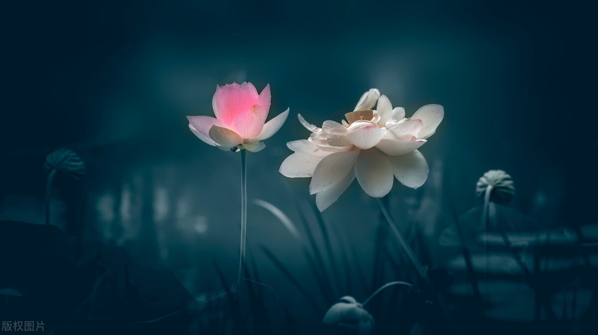 张因兵在老婆去世半年后,打算相亲,多少有些操之过急