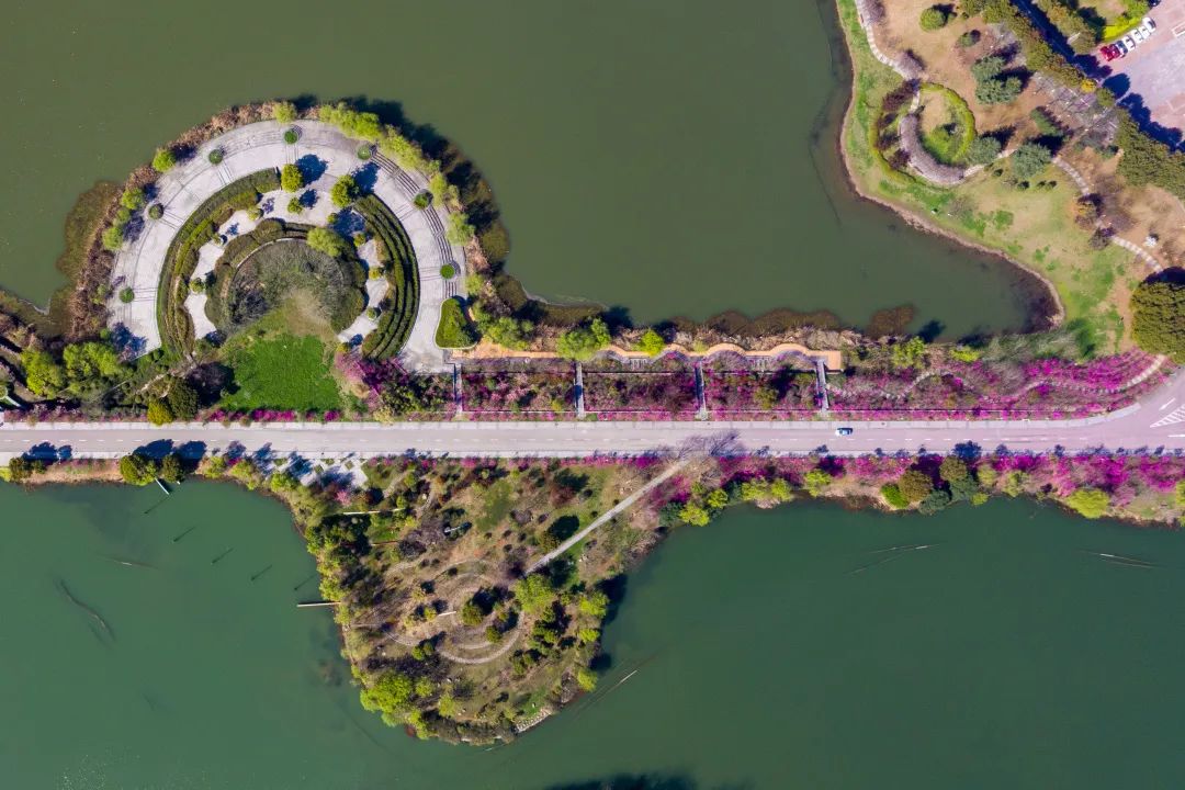 南京工程学院除电气外其他专业,南京工程学院的自动化专业排名