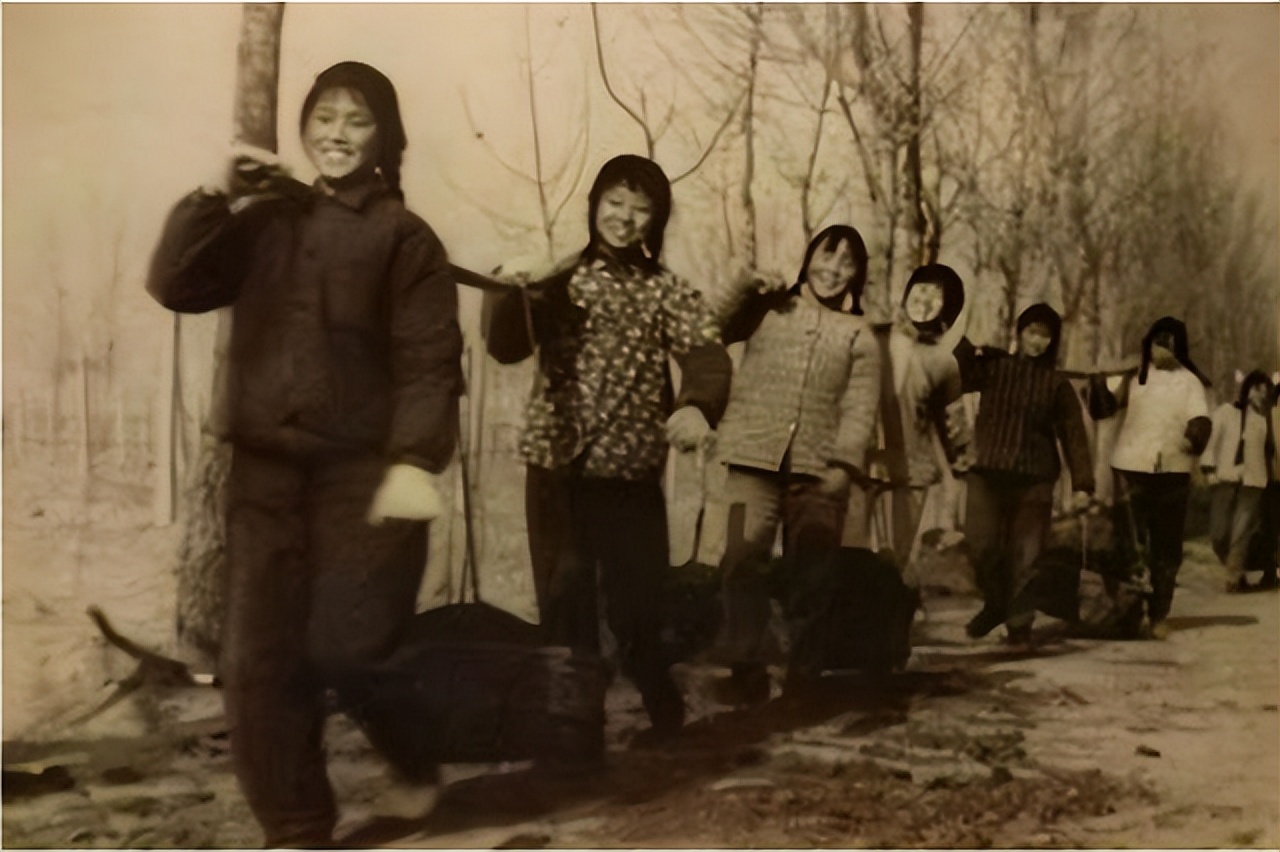 西双版纳上海女知青失踪之谜,西双版纳女知青失踪之谜