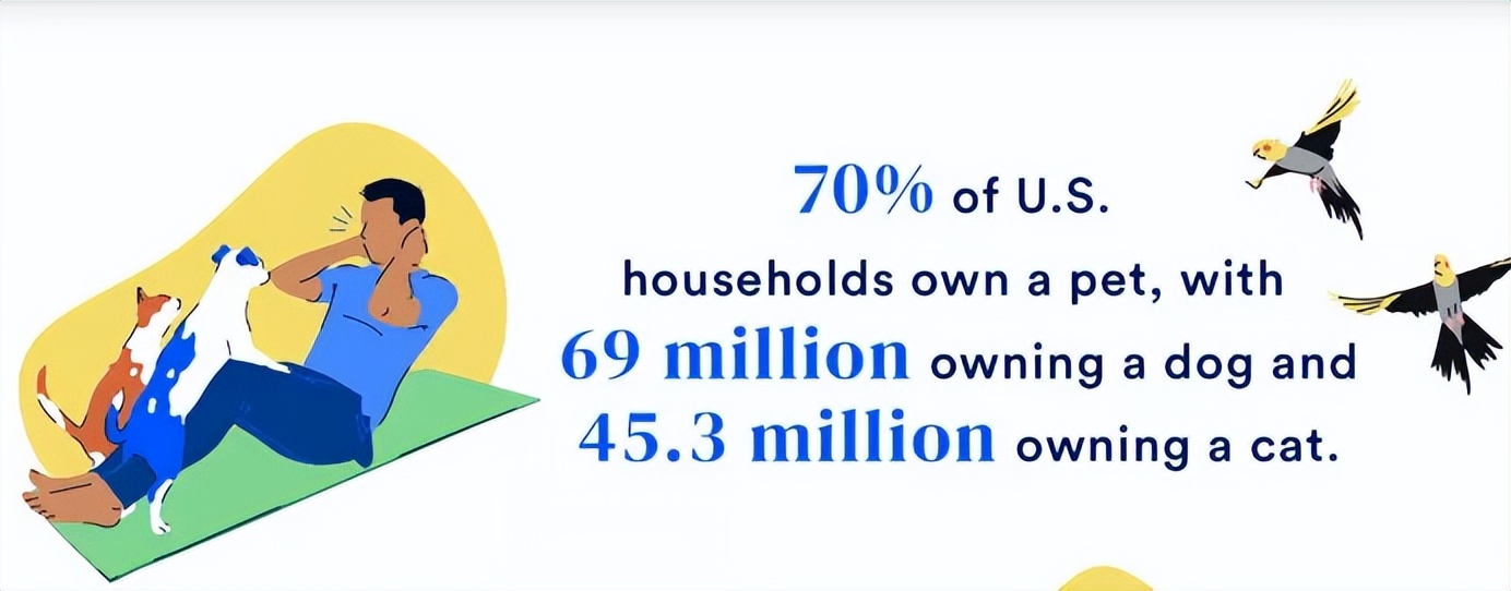 tiktok宠物食品价格,国际宠物用品市场前景分析