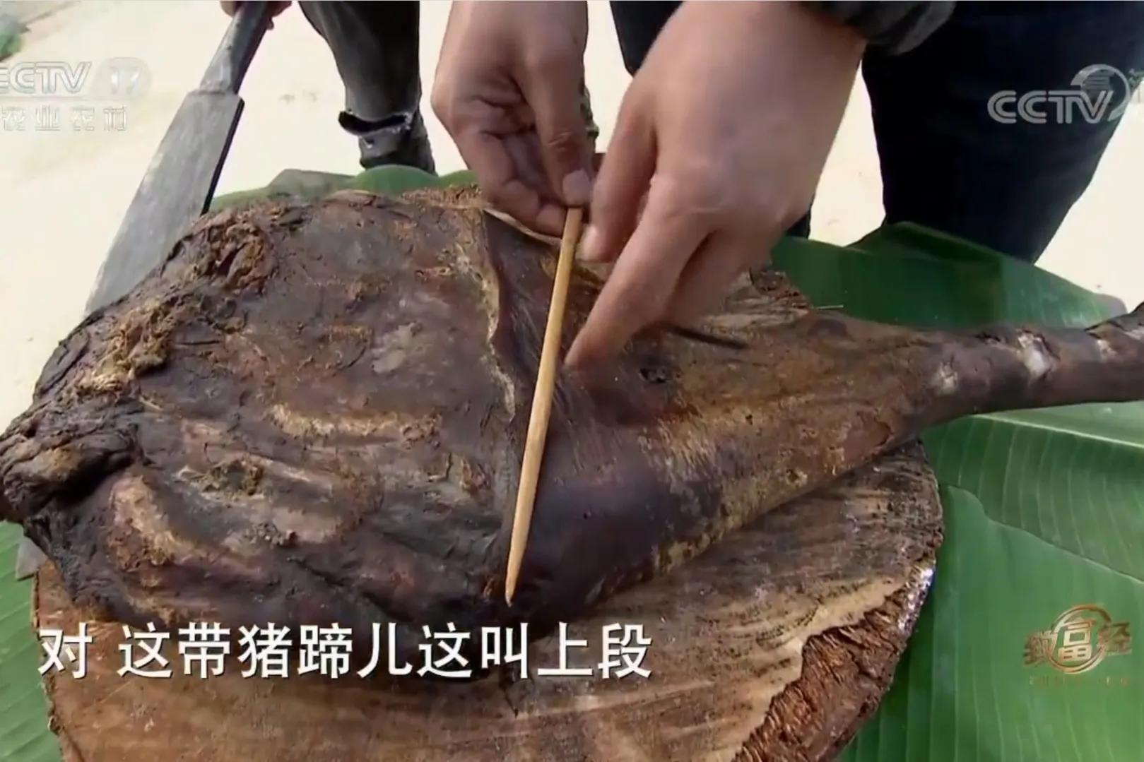 男子承包900亩荒山创业,小伙承包500亩地种特产如今暴富