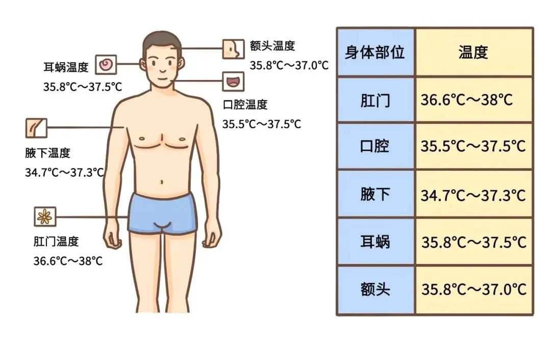 两只体温计测出来相差0.4,2个水银温度计测量结果不一样