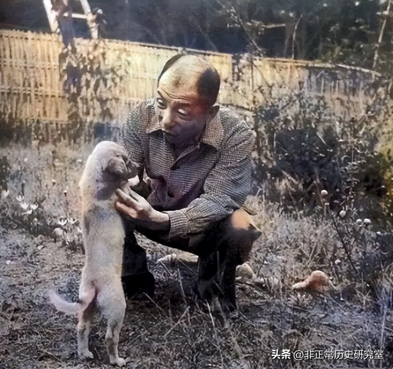 张学良的真实照片及影像,张学良一百张照片再现