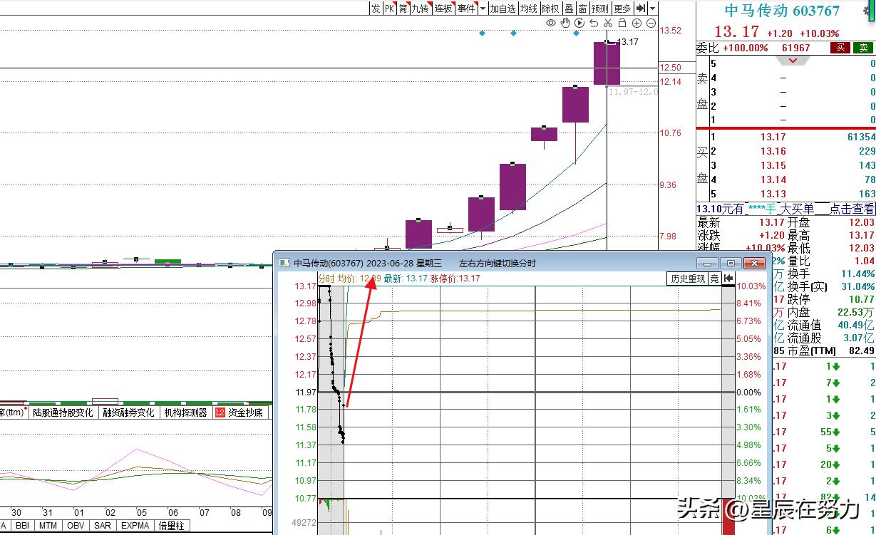 知名游资扎堆买入鸿博股份,预测鸿博股份6月1日走势