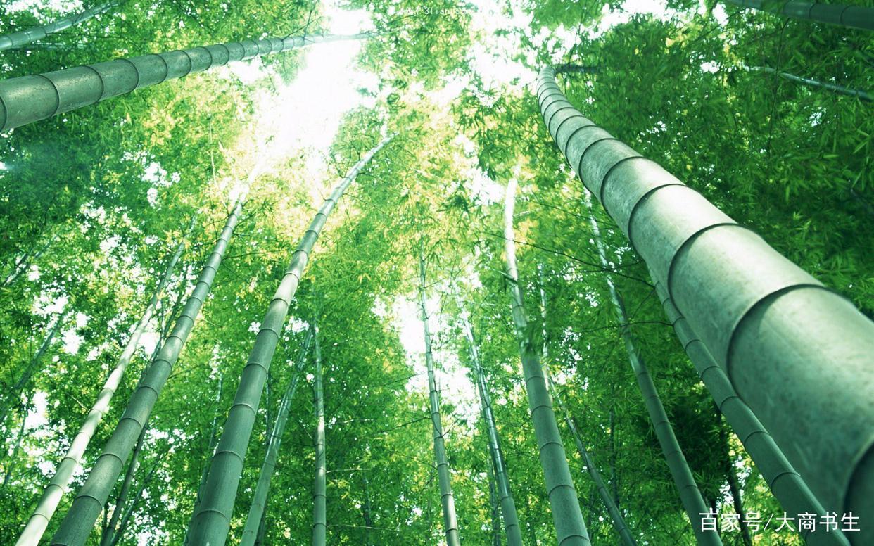 快消品销售方法和技巧,装修材料销售技巧和方法