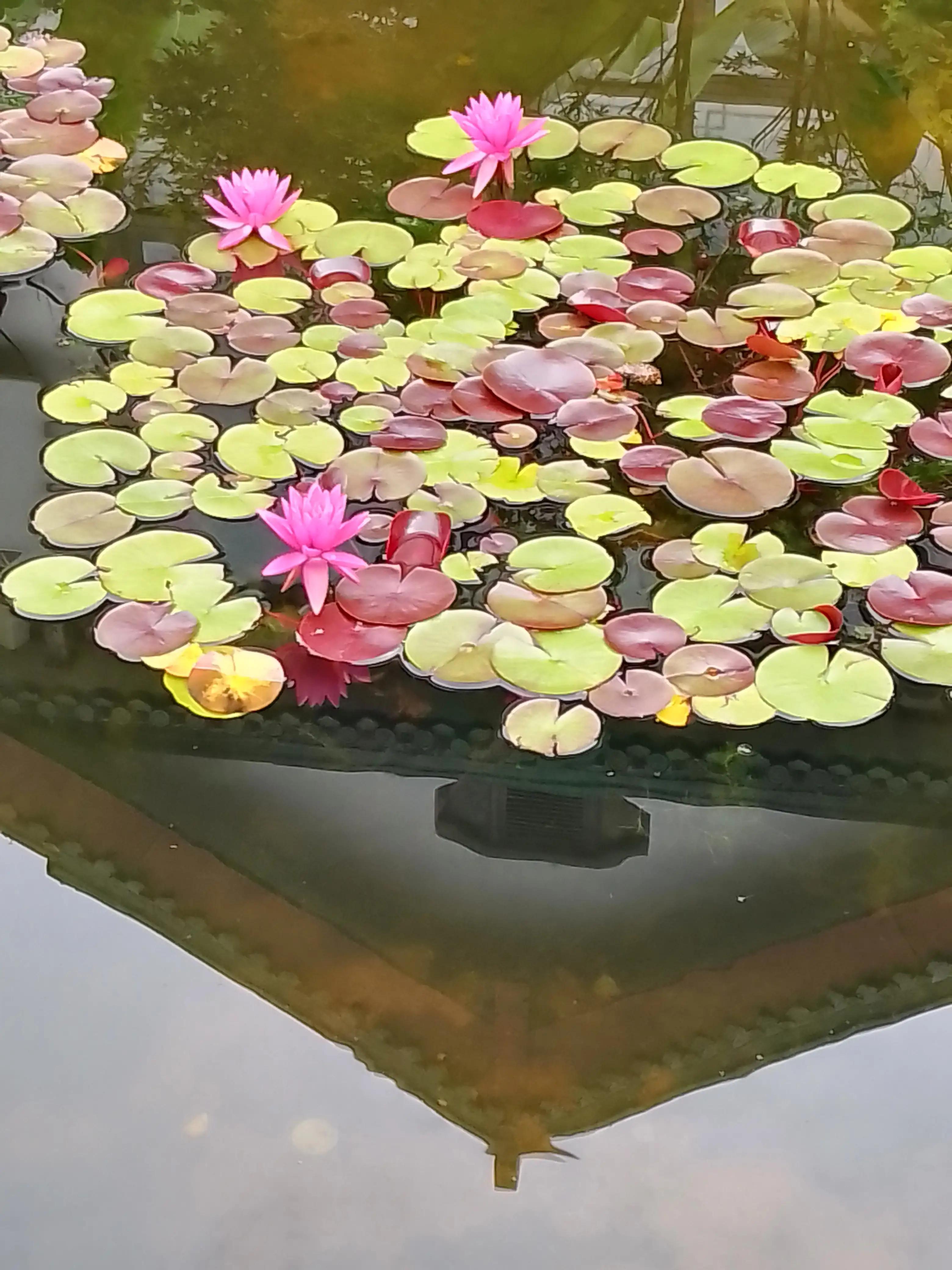 孤独寂寞随笔100字,一个人很寂寞随笔