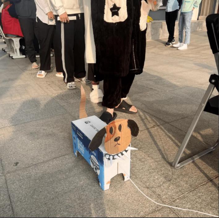 大学让养宠物啦？宿舍门口“看门狗”镇宅，不仔细瞅还真得一激灵