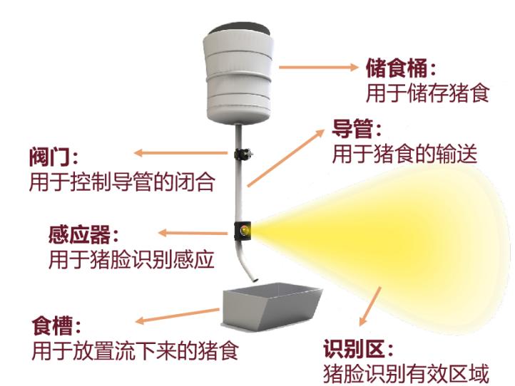 喜报获得金奖,喜报省特等奖