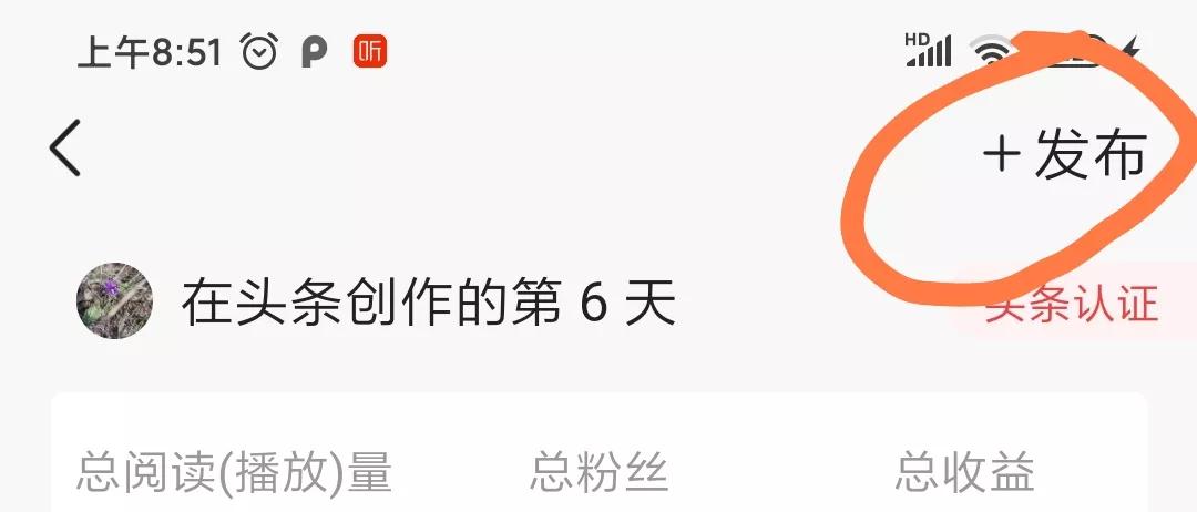 新手小白头条创作11天,新手小白头条阅读量