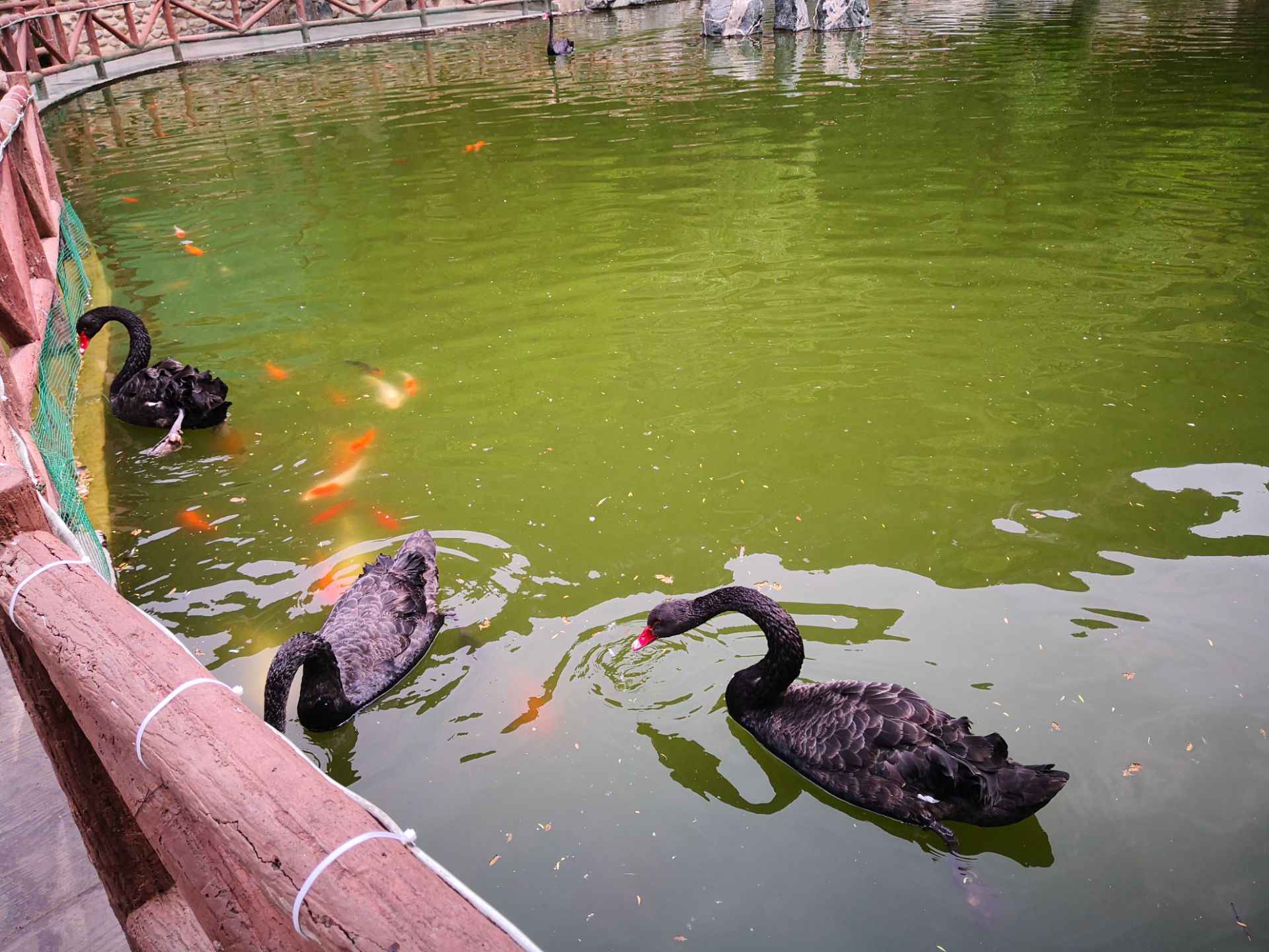 济南值得推荐的休闲好去处,济南都有啥好地方