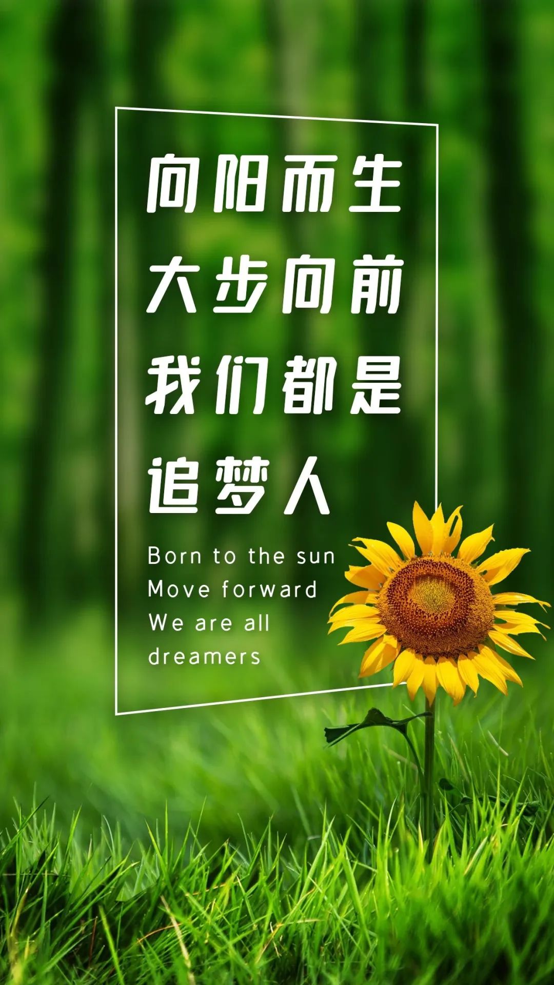 早安心语每日一句正能量短句图文,早安心语励志语录精辟