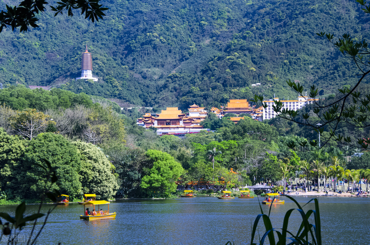 深圳光明农场大观园游玩攻略,自驾深圳南澳西冲游玩攻略