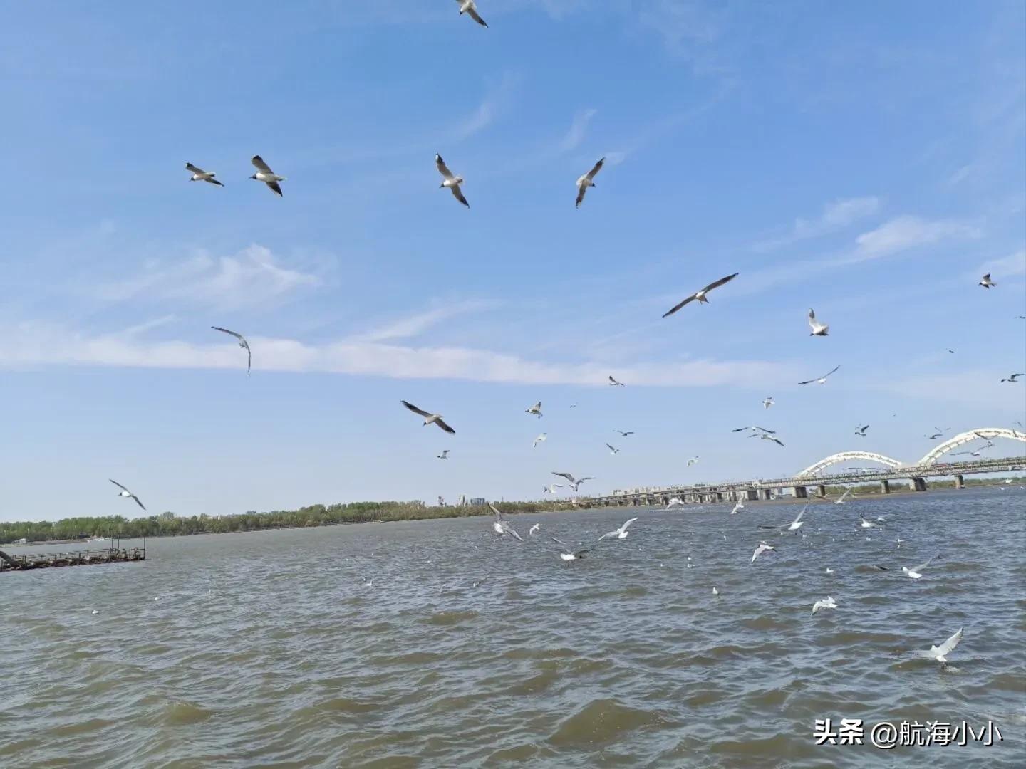 海事局健康证图片,海事局的健康证和卫检的健康证