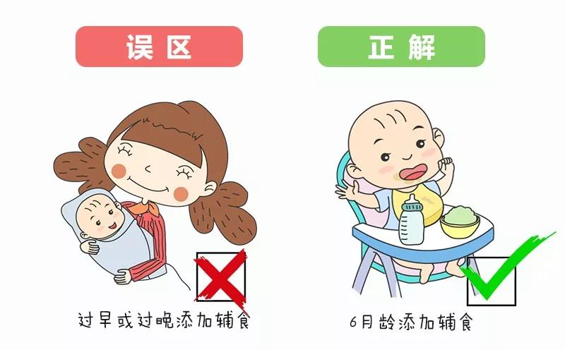育儿喂食99个误区,宝宝辅食最常见的10个误区