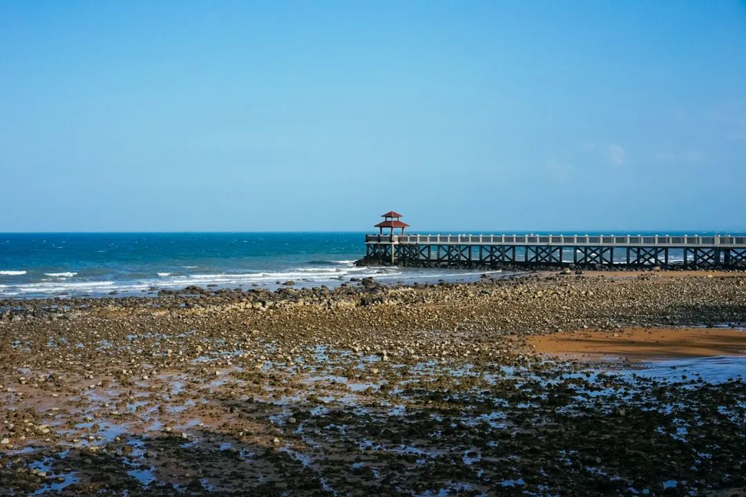 早餐烤乳猪，海鲜论盆卖？这座海岛小城舒坦得有点离谱了