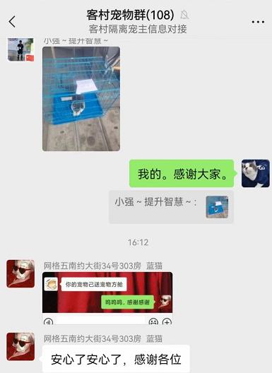 建宠物方舱,疫情期间深圳给宠物建方舱