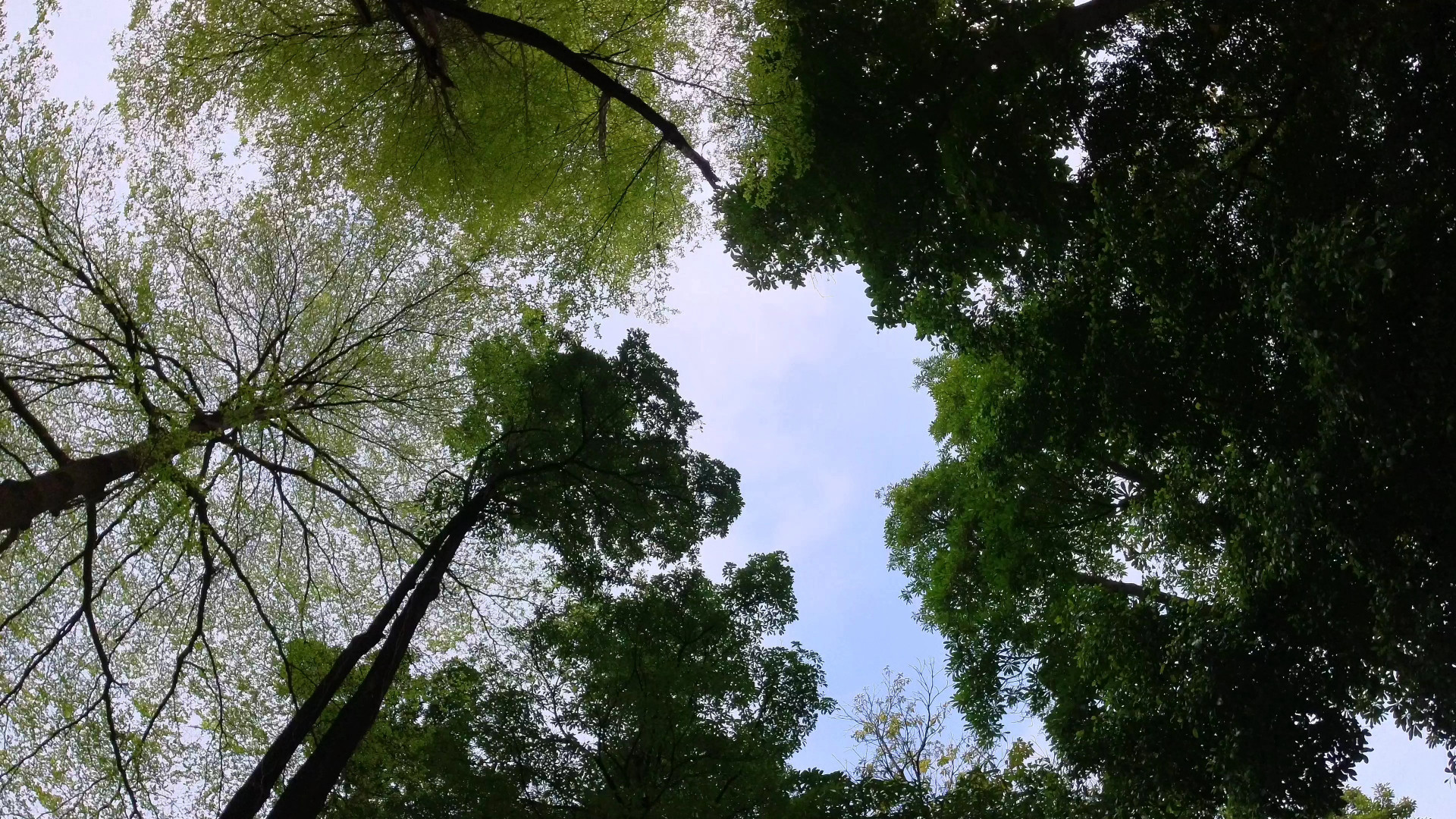 insta360oners优点缺点,insta360oners最新测评