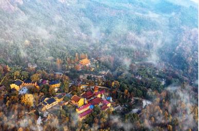 九华山风景区是国家5a级风景区,安徽九华山国家5a级旅游景区