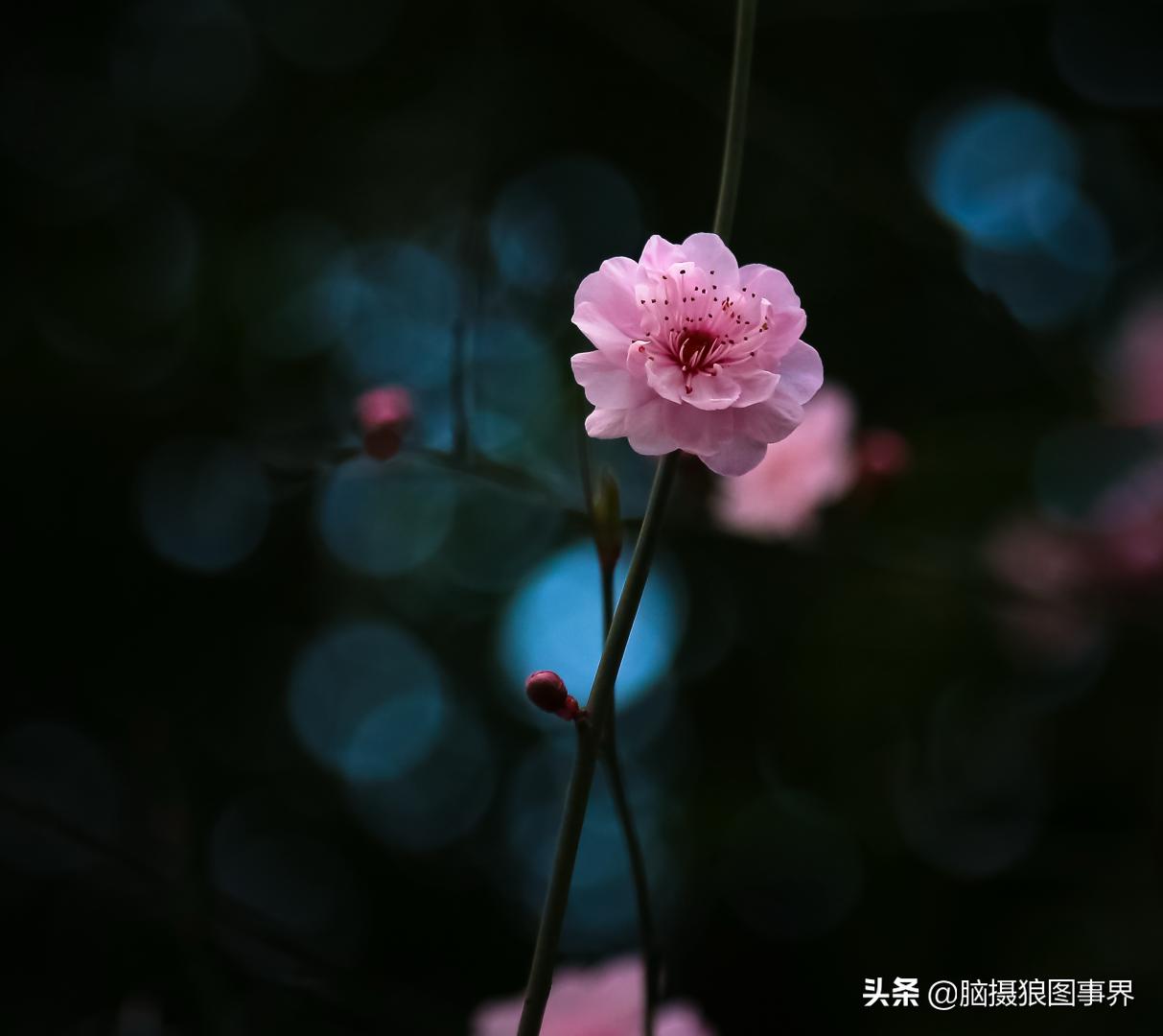 拍照如何确保对焦准确,拍照时对焦很难对上