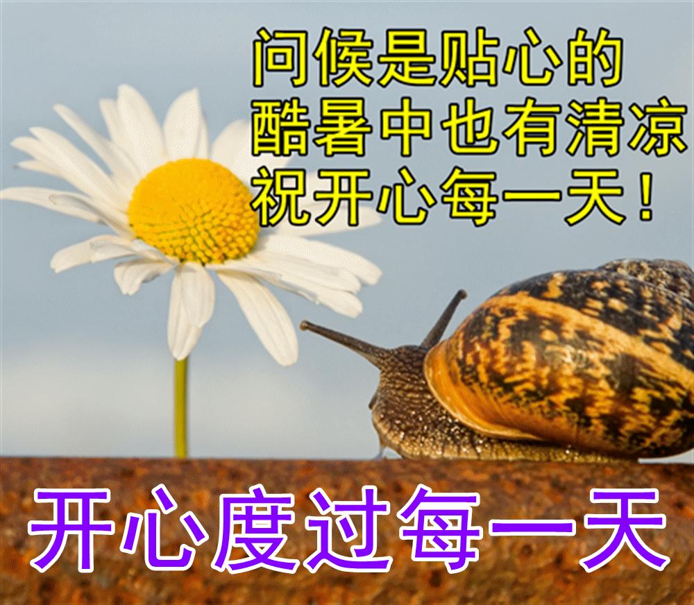 最漂亮的早安祝福图片和问候语 (2023年6月18日早上好祝福图片)