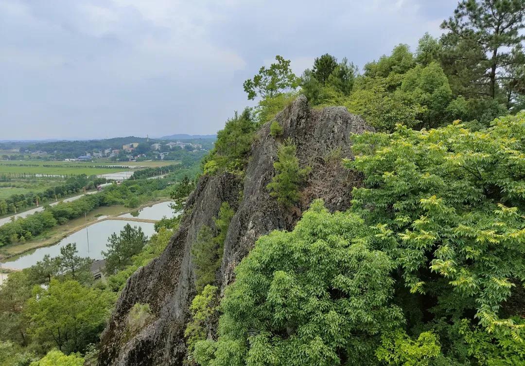 宁乡桃林镇,长沙市道林镇