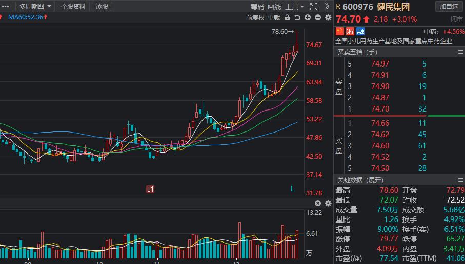 中药板块涨40%,中药板块现回调