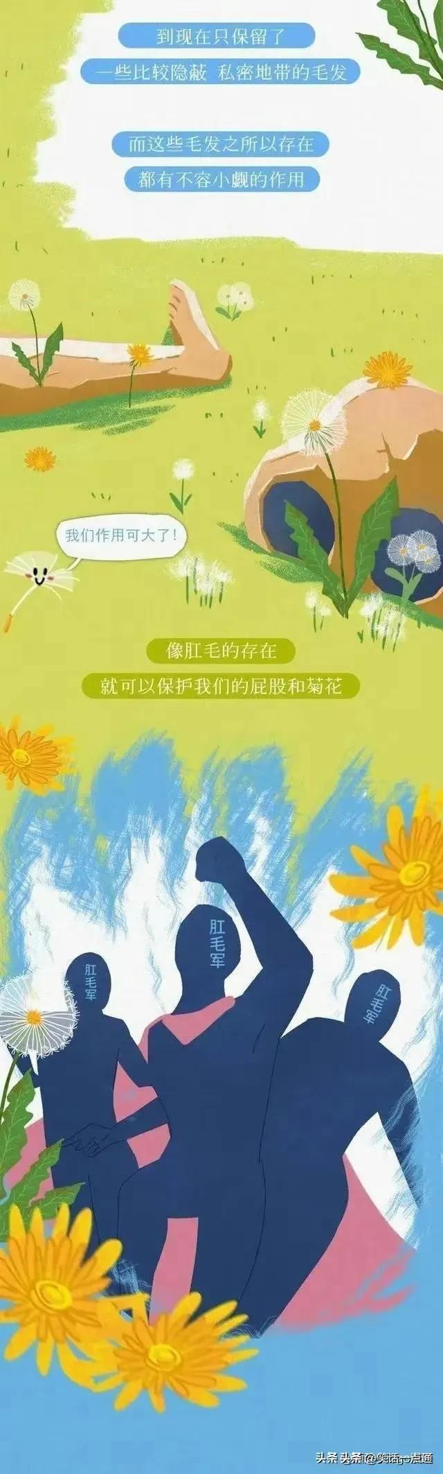 肛门周围为什么会长“毛”？可以刮掉吗？（漫画）