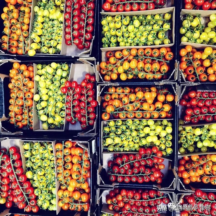 世界第一果蔬批发市场,中国十大果蔬批发市场