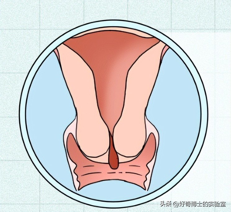 *生活性**后，身体发生这5个变化正常吗？