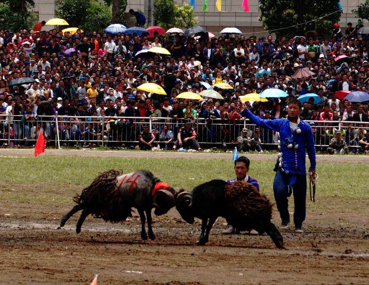 云贵川节日活动,云贵川传统节日