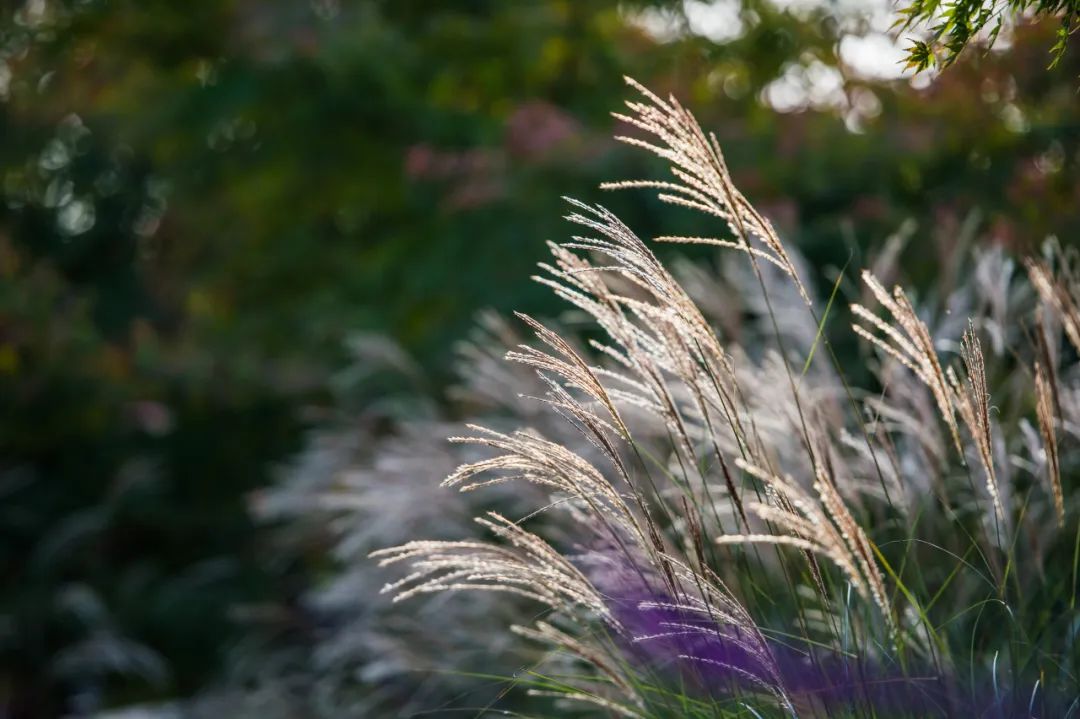 冬天养生以肾为先食疗是关键,中医冬天怎么护肾阳去寒湿