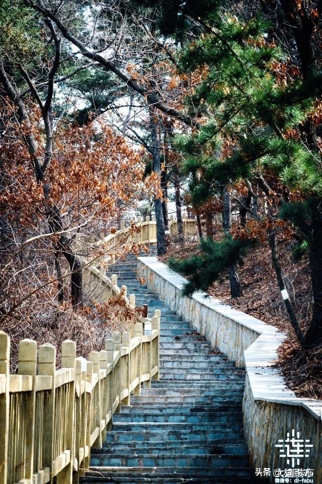 大连泉水河公园最新规划图,大连将新添海绵公园