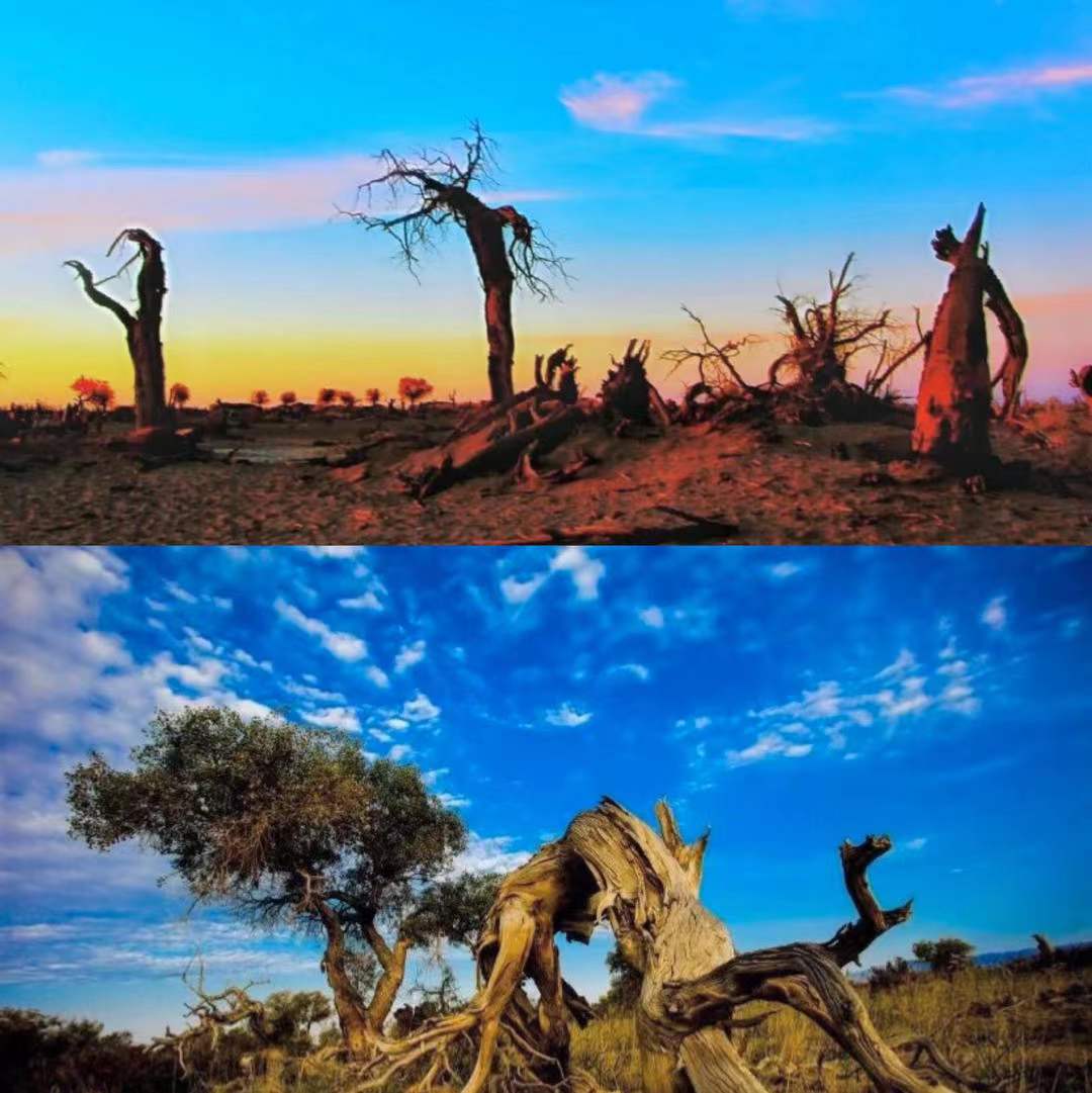 五一从额济纳旗出发自驾北疆,额济纳旗自驾旅游攻略