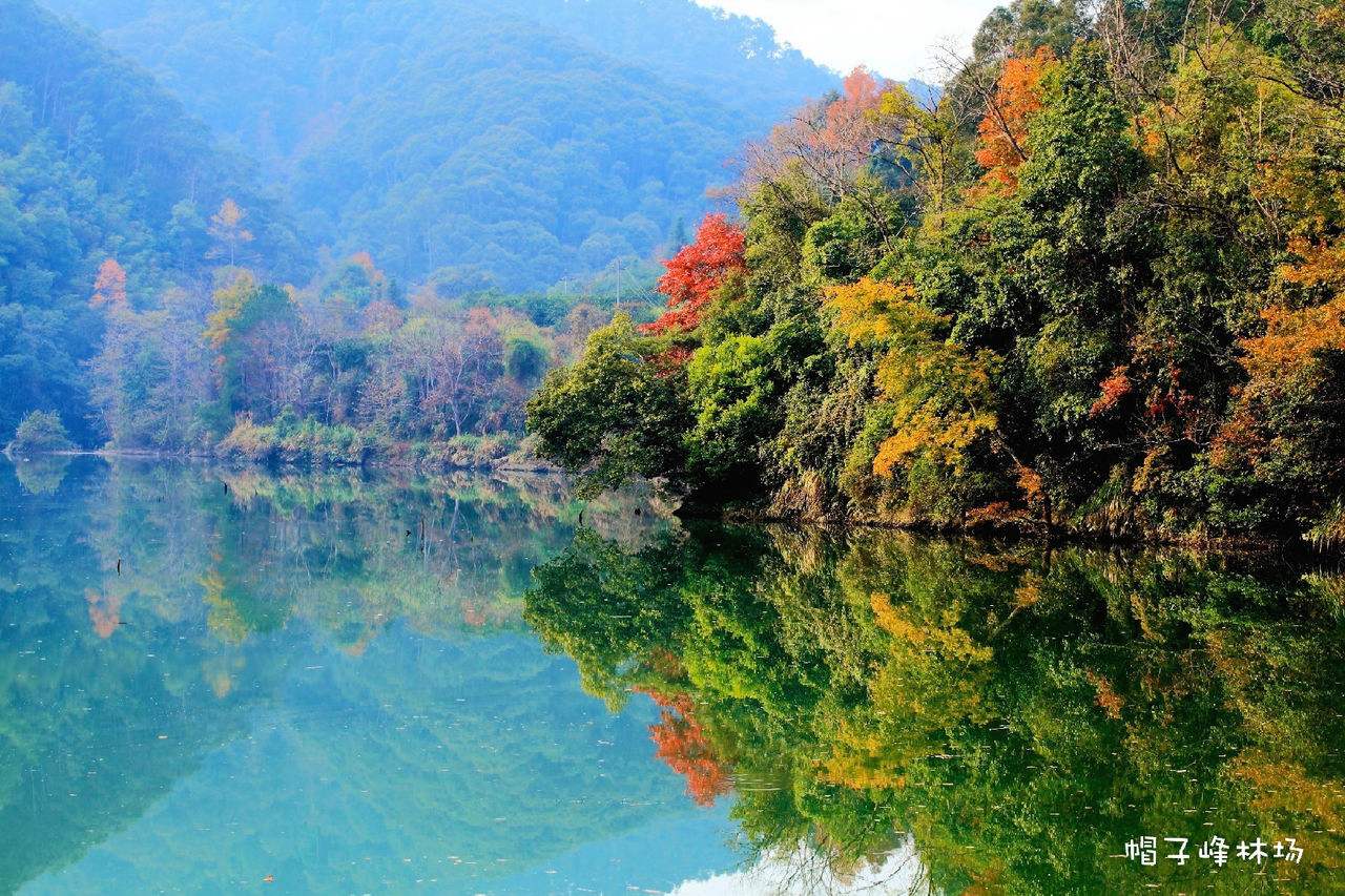 游击队政委要枪毙逃兵，陈毅大怒：你跟*动反**派有何区别