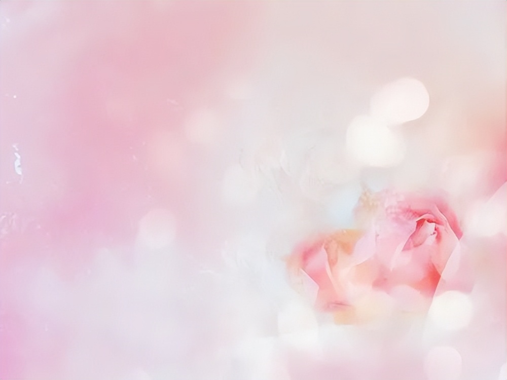 闺蜜适合发的朋友圈简短句子,闺蜜一起最适合发朋友圈的句子