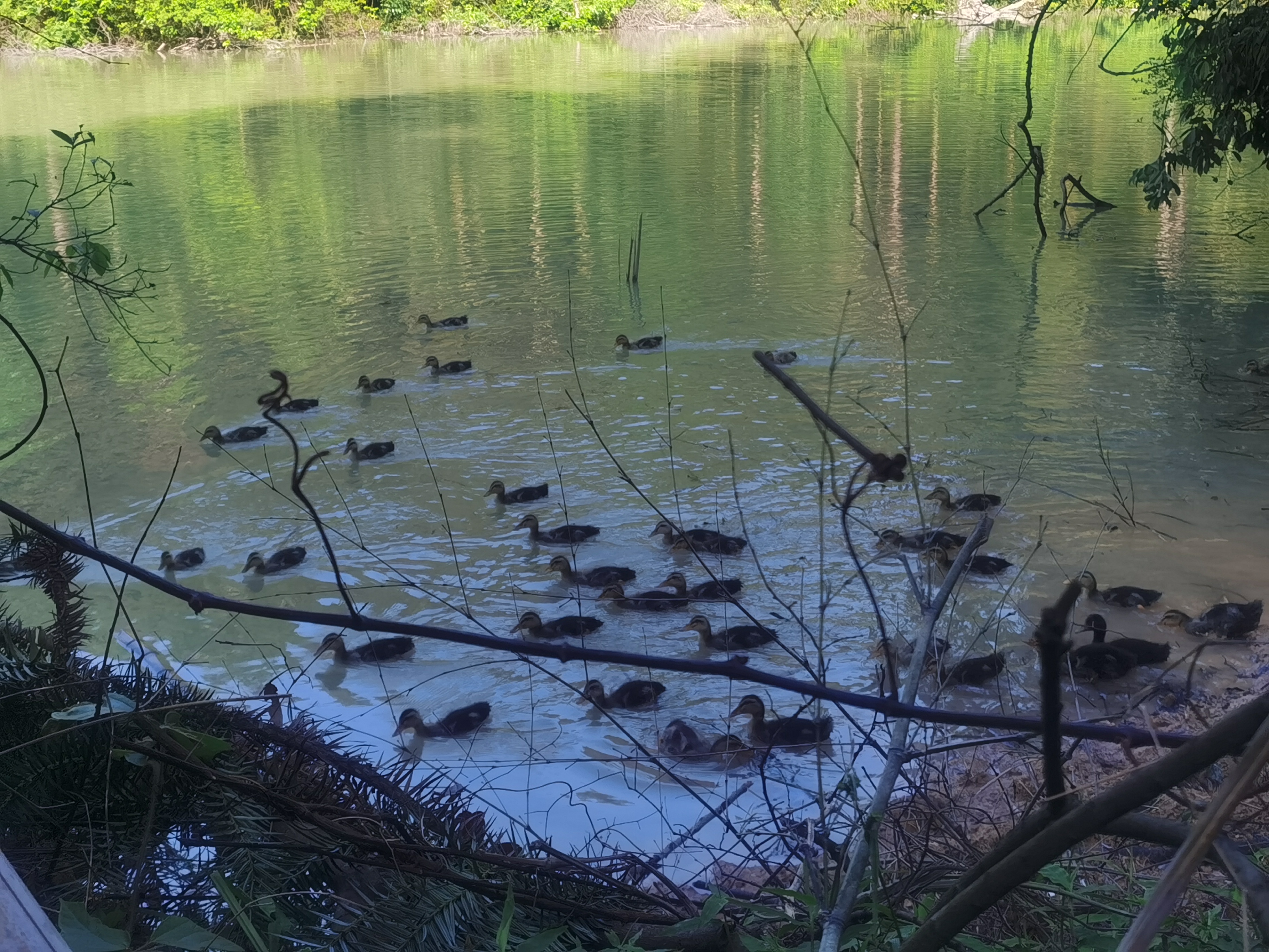 在农村务农一亩地能挣多少钱,种地一亩地能赚500块钱吗