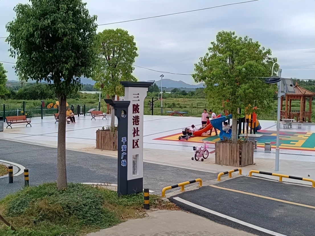 江西广昌：太空莲成“致富莲”,太空莲子种子