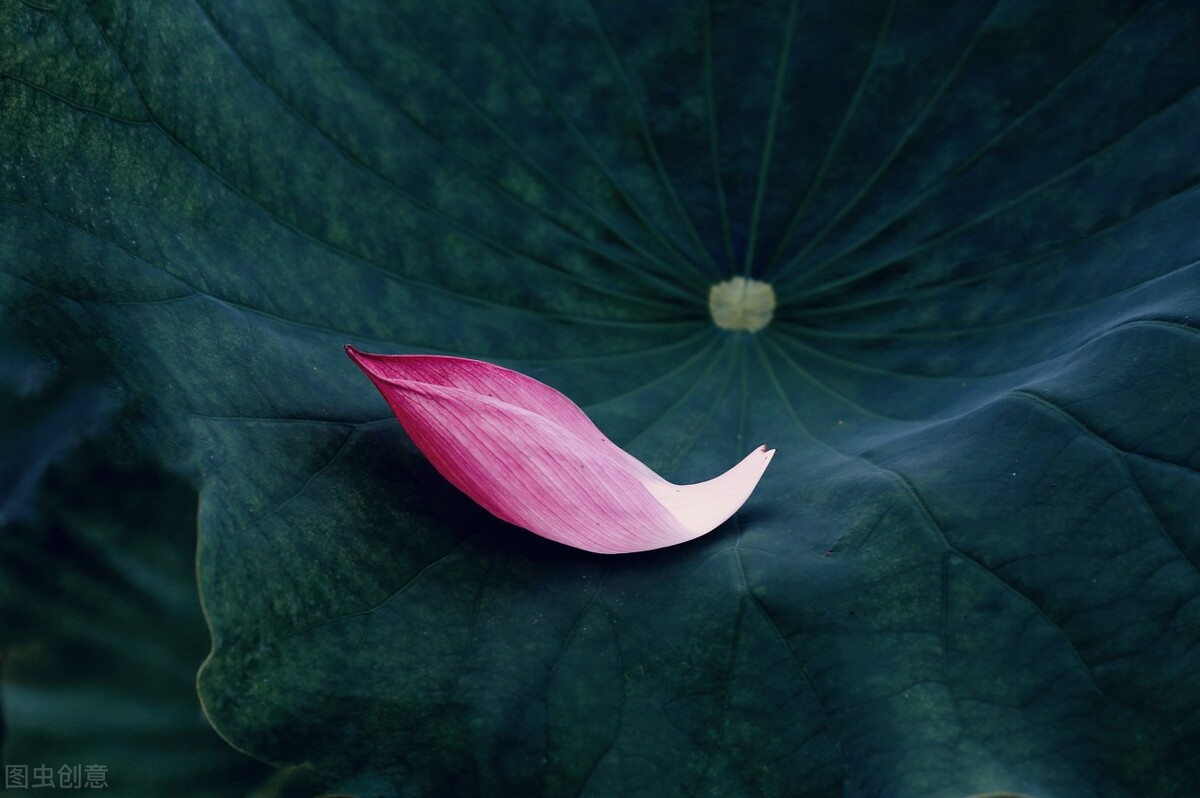 七首沧桑诗词道破世事句句戳心,16句感悟人生沧桑的诗句