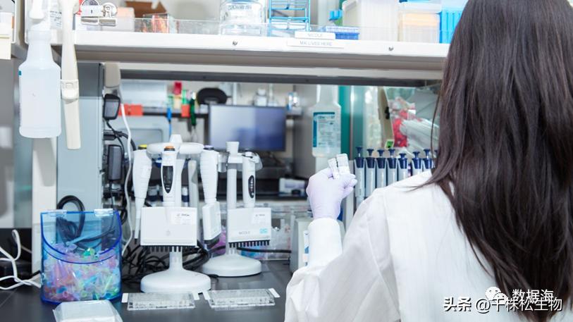 Seagen和Astellas获得FDA批准Padcev药物用于膀胱癌治疗