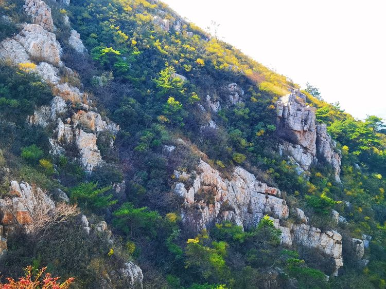 旅顺城山,旅顺城山怎么绕过去