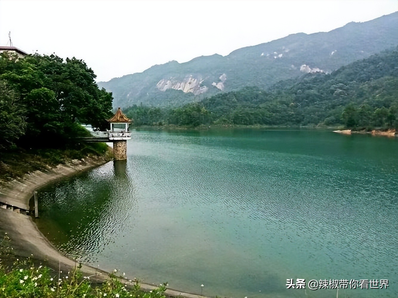 海岸线：邂逅*江阳**——感受这座慢节奏小城文化底蕴感悟人文之美