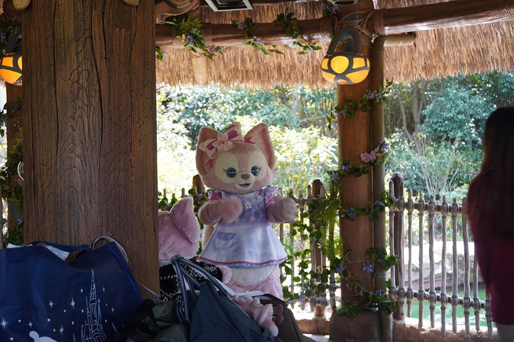 排队5小时、互动2分钟，与玲娜贝儿拥抱背后