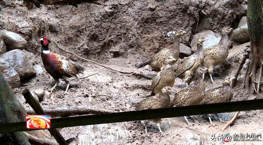 创业路上的奋斗者,返乡创业青年创业事迹